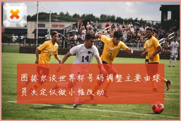 图赫尔谈世界杯号码调整主要由球员决定仅做小幅改动